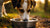 Should Dogs Have Separate Water Bowls? A Comprehensive Guide to Hydration for Your Pup