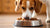 Should Dogs Have Wet Food? Exploring the Benefits and Considerations