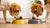 Should Dogs Share Food Bowls? Understanding the Best Feeding Practices for Canines