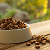 Should Dry Dog Food Be Mixed with Water? A Comprehensive Guide