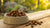 Should Dry Dog Food Be Mixed with Water? A Comprehensive Guide