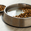 Should I Add Water to Dog Kibble? Exploring Benefits and Considerations