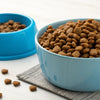 Should I Add Water to Dry Dog Food? A Comprehensive Guide for Pet Owners