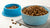 Should I Add Water to Dry Dog Food? A Comprehensive Guide for Pet Owners