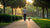 Should I Exercise My Dog When He Has Diarrhea? A Comprehensive Guide for Pet Owners
