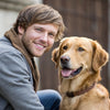 Should I Feed My Dog Wet and Dry Food? A Comprehensive Guide for Pet Owners