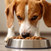 Should I Feed My Dog Wet Food? Exploring the Benefits and Considerations