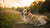 Should I Feed My Pregnant Dog Puppy Food? Understanding the Nutritional Needs for Pregnancy and Beyond