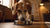 Should I Feed Wet Food to My Dog? A Comprehensive Guide for Pet Owners