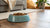 Should I Leave Kibble Out for My Dog? Understanding the Best Feeding Practices