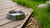 Should I Leave My Dog's Water Bowl Out? Understanding Hydration Needs for Our Furry Friends