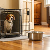 Should I Put a Water Bowl in My Dog's Crate? Understanding Crate Hydration