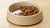 Should I Put Water in My Dog's Dry Food? Exploring the Benefits and Drawbacks