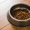 Should I Put Water in My Dog's Kibble? Exploring the Benefits and Drawbacks