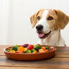 Should I Switch My Dog to Raw Food? Exploring the Benefits and Considerations