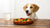 Should I Switch My Dog to Raw Food? Exploring the Benefits and Considerations