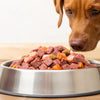 Should I Switch to Raw Dog Food? Exploring the Benefits and Risks