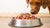 Should I Switch to Raw Dog Food? Exploring the Benefits and Risks