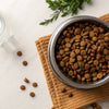Should I Wet Dog Kibble? Exploring the Benefits and Drawbacks