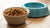 Should I Wet My Dog's Dry Food? A Comprehensive Guide to Feeding Choices
