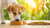 Should My Dog Eat the Same Food Every Day? Exploring Canine Nutrition
