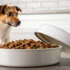 Should Wet Dog Food Be Refrigerated After Opening?