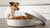 Should Wet Dog Food Be Refrigerated After Opening?