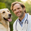 Should Wet Dog Food Be Refrigerated? Understanding Proper Storage for Your Pet's Health