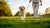 Should You Exercise a Dog with Diarrhea? Understanding the Best Care for Your Pup