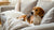 Should You Feed a Pregnant Dog Puppy Food? A Comprehensive Guide for Pet Owners