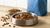 Should You Feed Dogs Wet or Dry Food? A Comprehensive Guide for Pet Owners