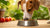 Should You Feed Your Dog from a Raised Food Bowl? Understanding the Controversy