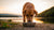 Should You Feed Your Dog Kibble? A Comprehensive Guide to Choosing the Best Dog Food