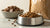 Should You Feed Your Dog Wet Food or Dry Food? Exploring the Best Options for Your Pet