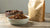 Should You Feed Your Dog Wet or Dry Food? A Comprehensive Guide