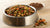 Should You Mix Wet and Dry Dog Food? Exploring the Best Feeding Practices for Your Furry Friend