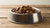 Should You Refrigerate Wet Dog Food? A Comprehensive Guide to Proper Storage