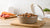 Should You Refrigerate Wet Dog Food After Opening? Essential Storage Tips for Pet Parents