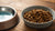 Should You Rehydrate Dog Kibble? Exploring the Pros and Cons