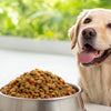 Should You Use Grain-Free Dog Food? Understanding the Benefits and Risks