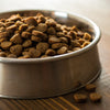 Should You Wet Dog Food? Exploring the Benefits and Considerations