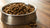 Should You Wet Dog Food? Exploring the Benefits and Considerations