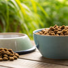 Should You Wet Your Dog's Dry Food? An In-Depth Guide for Pet Owners