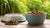 Should You Wet Your Dog's Dry Food? An In-Depth Guide for Pet Owners