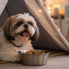 The Benefits and Guidelines of Raw Feeding for Puppies