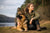 The Most Important German Shepherd Personality Traits