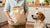 The Surprising Reality of How Much Does a Dog Food Tester Make: A Comprehensive Breakdown