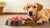 The Ultimate Guide on How to Feed Raw Dog Food: Elevating Your Pet's Nutrition Experience