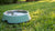 The Ultimate Guide on How to Fill an Automatic Dog Water Bowl