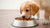 The Ultimate Guide on How to Give Dog Food to Puppy: Ensuring Healthy Growth and Nutrition